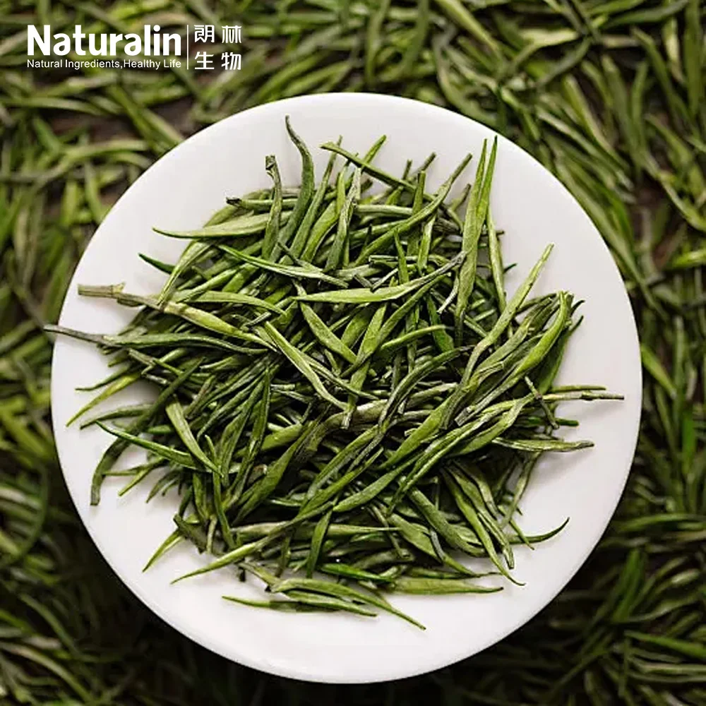 Naturalin Wholesale  Green Tea Powder Camellia sinensis (L.) Kuntze  UV, HPLC Detected Green Tea Extract Polyphenols EGCG