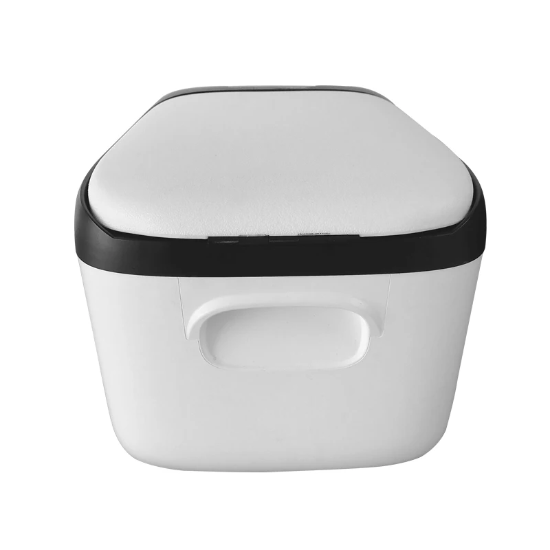 Portable Electric Cooler Icebox Car Fridge For Road Trip Dc Power Freezer