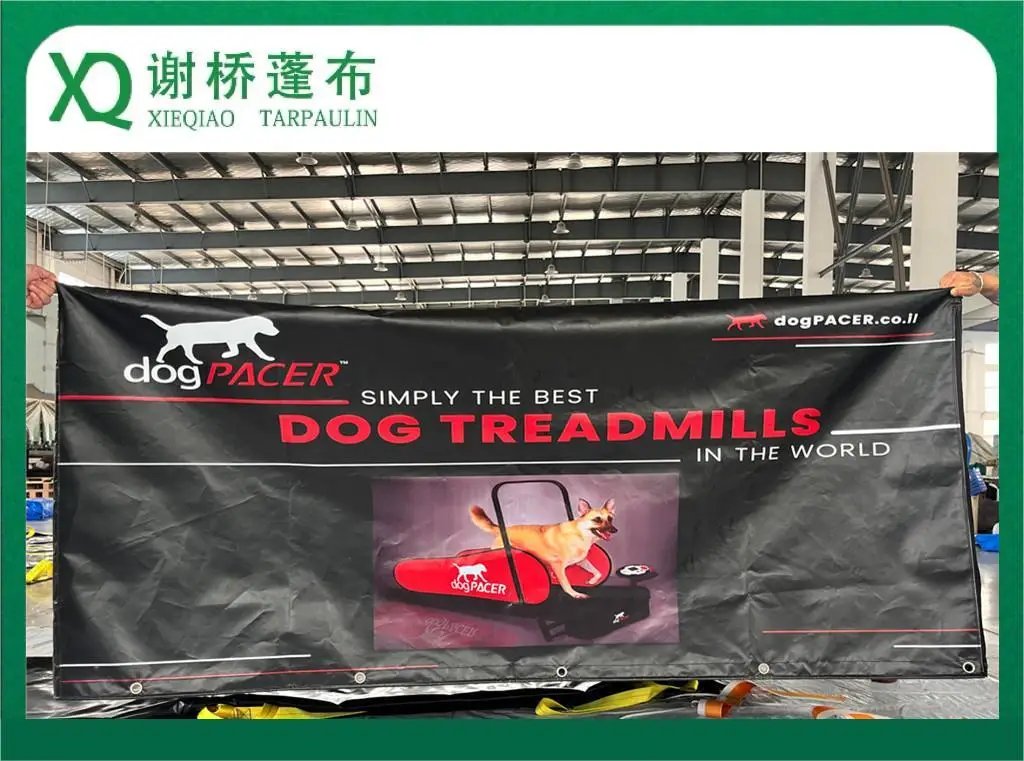 Xieqiao Brand Tricycle  Cover Customization by PVC Tarpaulin For Our Customer