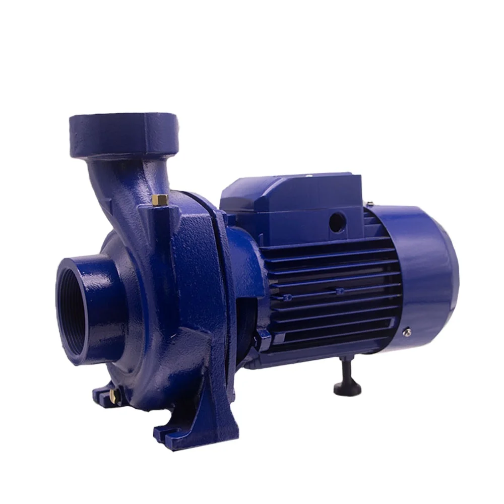 RUIQI 200L/min Farming Pump High Flow Irrigation & Drinking Water DTM 0.75KW/1HP Single Phase Water Pump Pompe Bomba De Agua