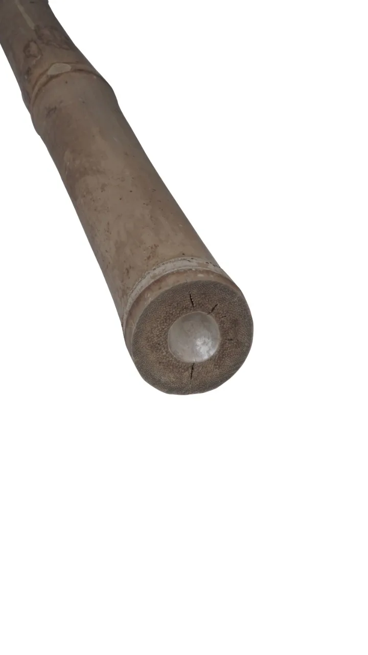 
Stick Bamboo Indonesia Bamboo Poles Natural Straight non-Treated for support decoration 