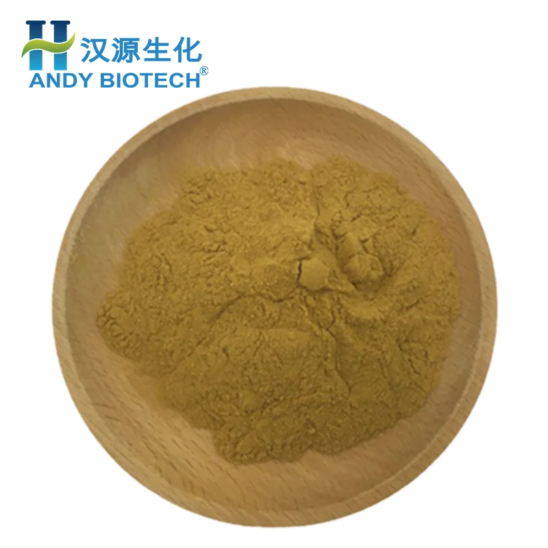 Top Quality Radix Aucklandiae Extract Costus Root Extract Powder