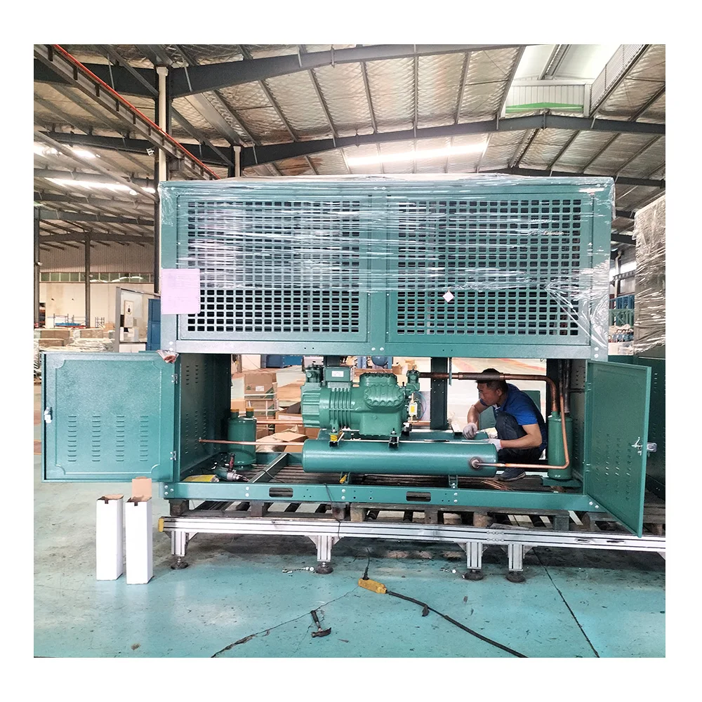 Top quality mushroom preservation warehouse walk in coolers refrigeration condensing unit