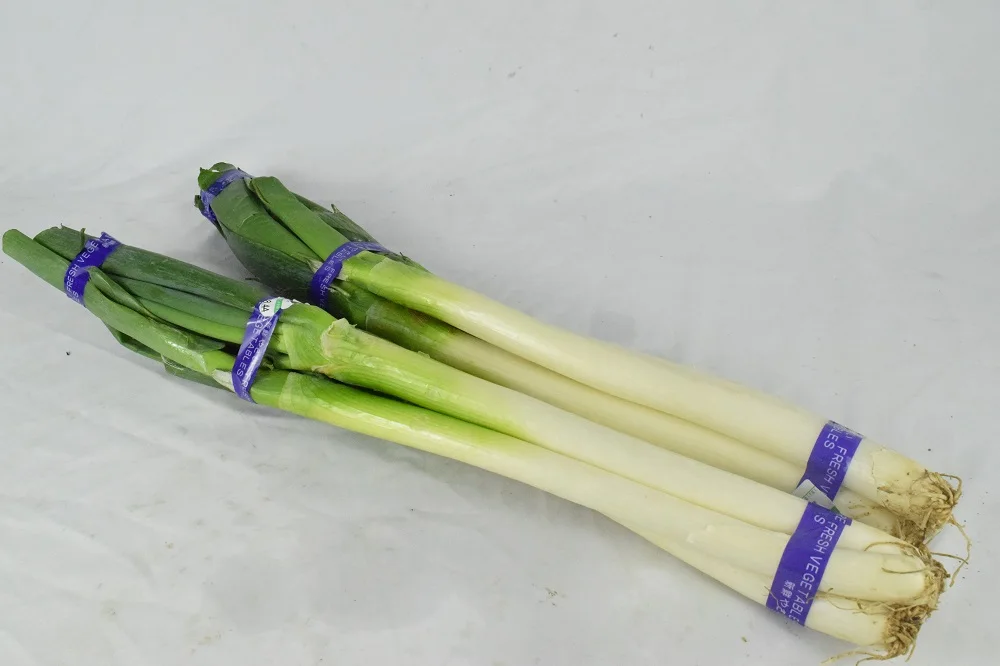 
The Best Quality Organically Grown Natural Green Onions, Suitable for Eating Green Onions 
