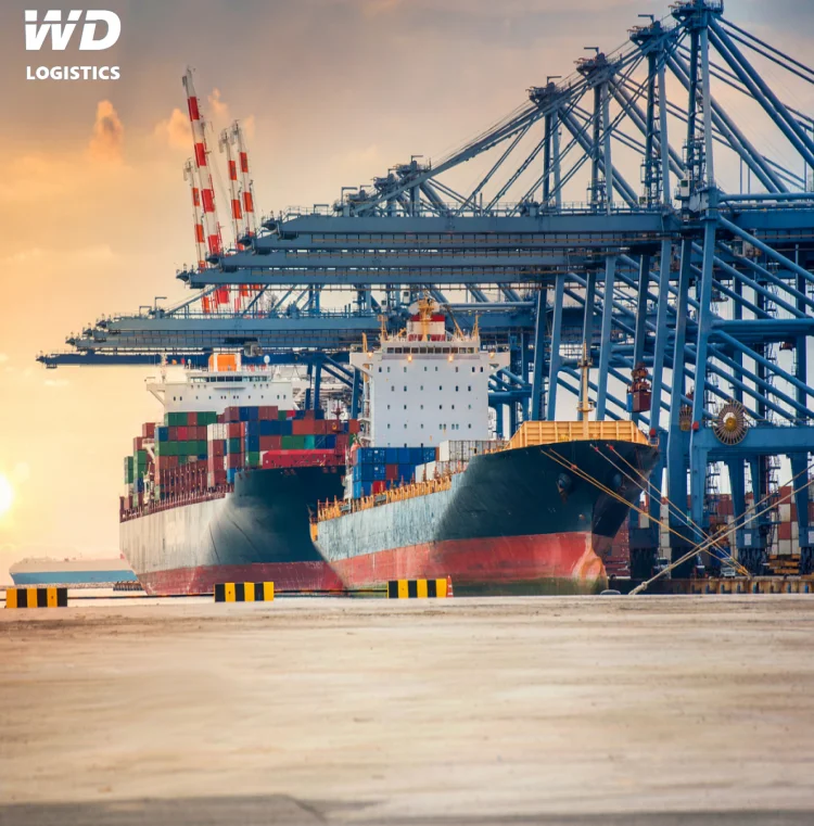 Морской воздушный экспедитор экспортная доставка из Китая грузовая в