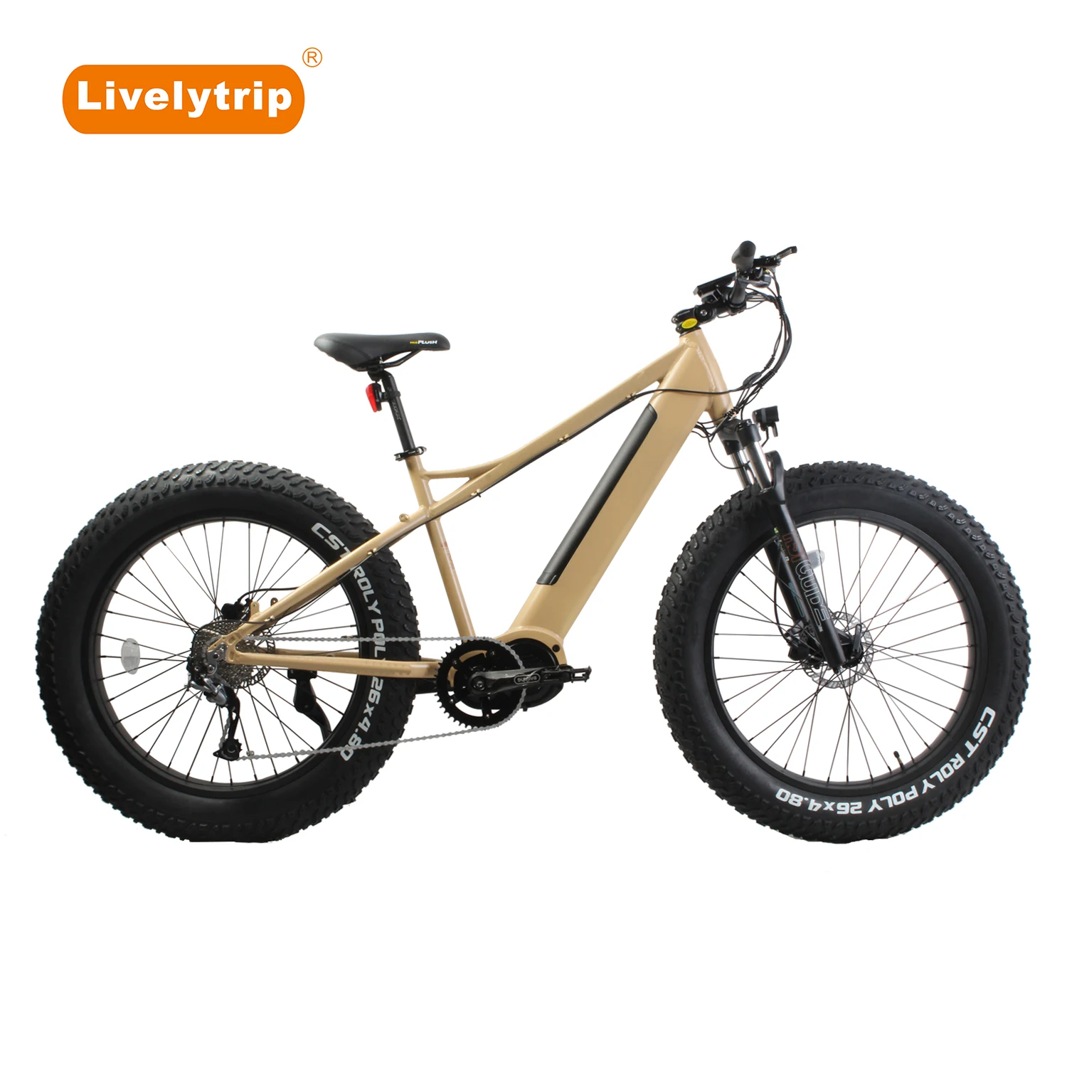 Bafang M620 1000W mid drive fat tire electric mountain bike with Torque Pedal Assist Sensor