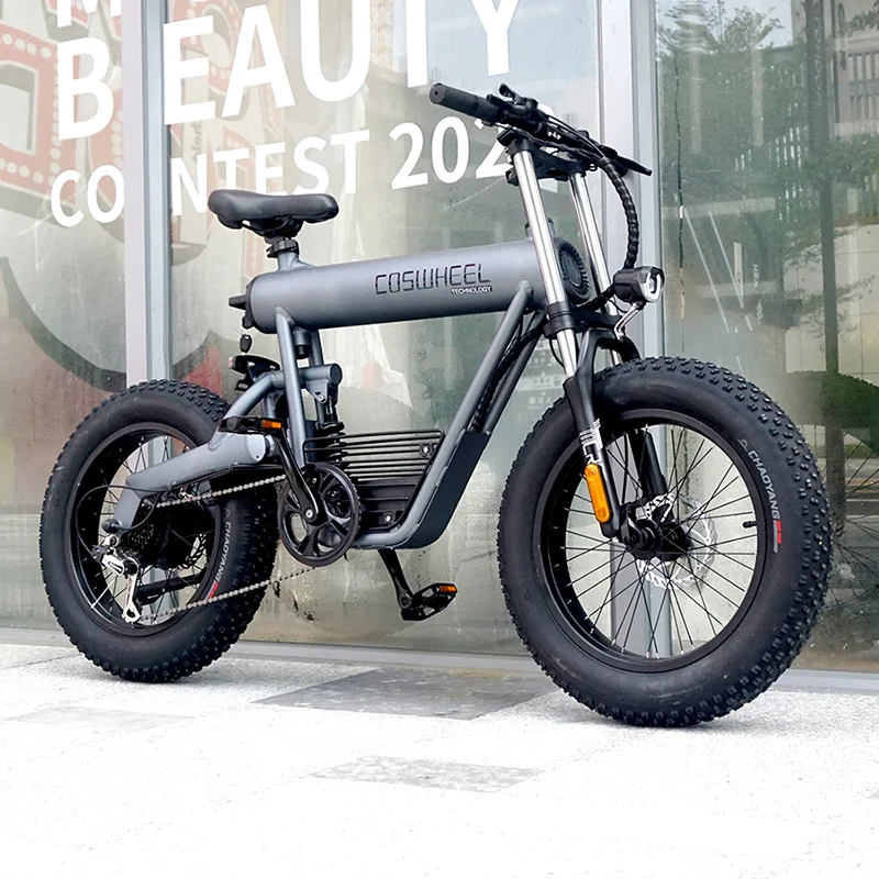 Professional Factory Mountain Bike Motorcycle With Battery Included Electric Bicycle For Adult