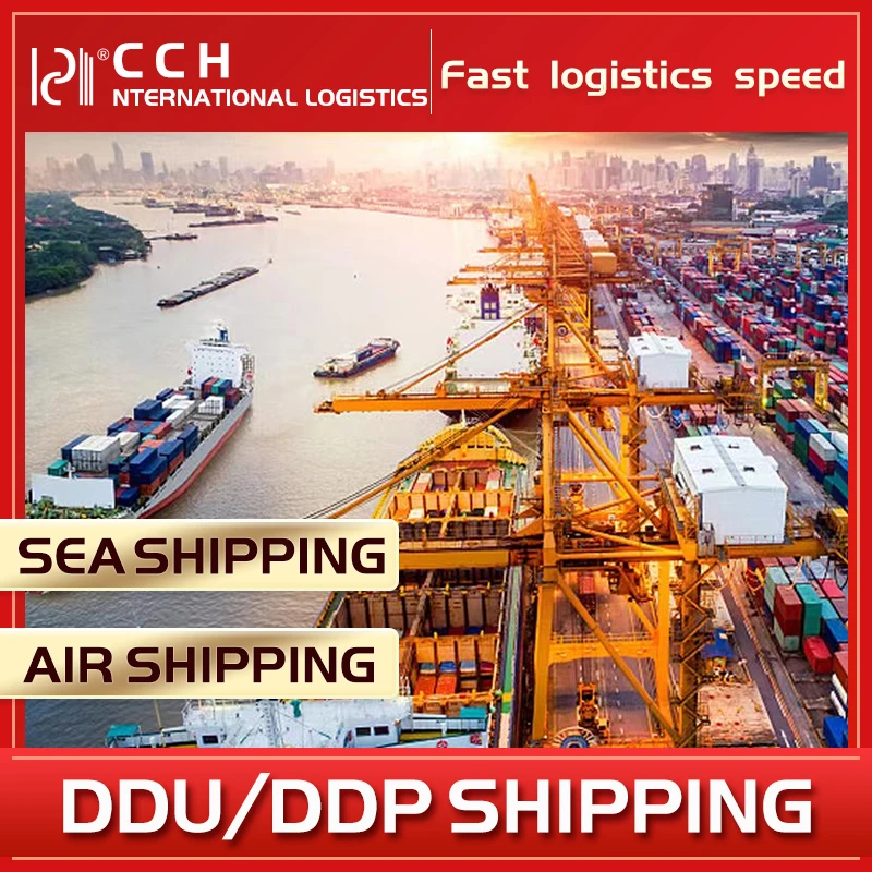 Top Ten Sea Freight to UK, Netherlands, Italy, Germany, France, Spain Door to door Ddu/Ddp  freight forwarder