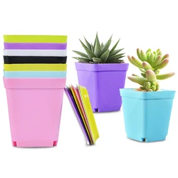 nursery cell pot