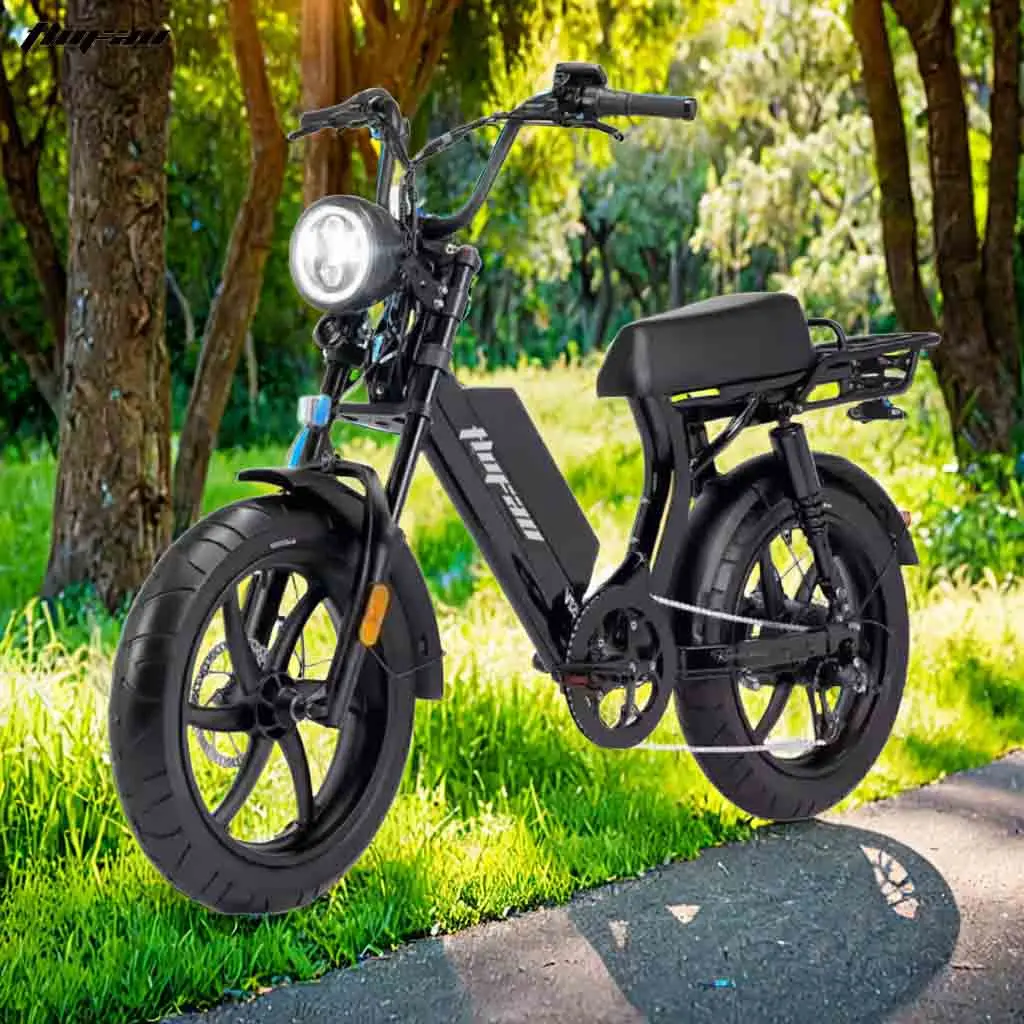 Гарантированный двигатель 500 Вт, 48 В, 10 А/ч, батарея из сплава, 6061, oem, с задней стойкой, электровелосипед, электровелосипед