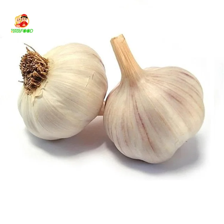 Chinese Factory Normal White Galic male garlic With Cheapest Price from Jinxiang