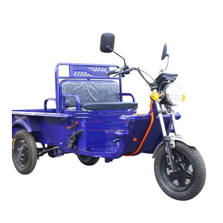 Electric Kit Enclosed Bike 300Cc Mobility Scruter Brick Closed Deliveryman Front Basket Baby Boys Passenger Eggs Cargo Tricycle