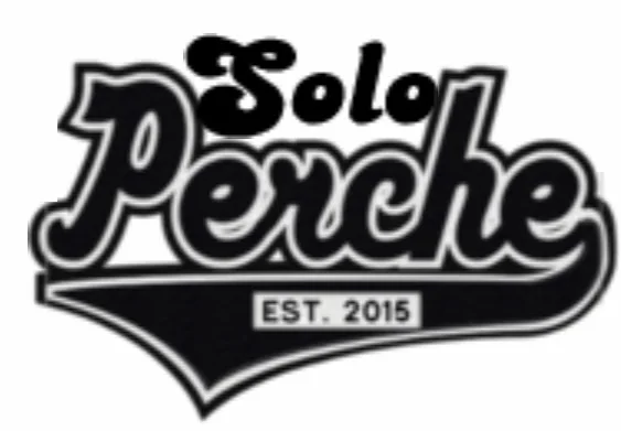 Hot Sale Embroidery Large Logo St. Patrick Day Lucky Clover Chenille Patches Iron On Holiday Patch For Clothing