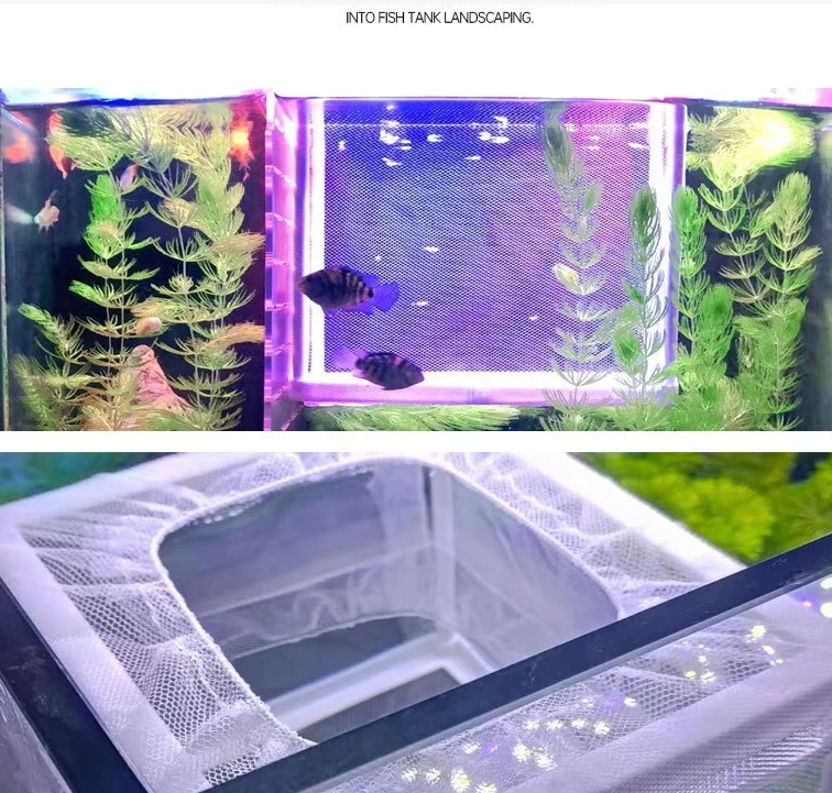 Hatching box Isolation net New fry small fish isolation box aquarium fish tank Tropical fish small fry breeding box separation