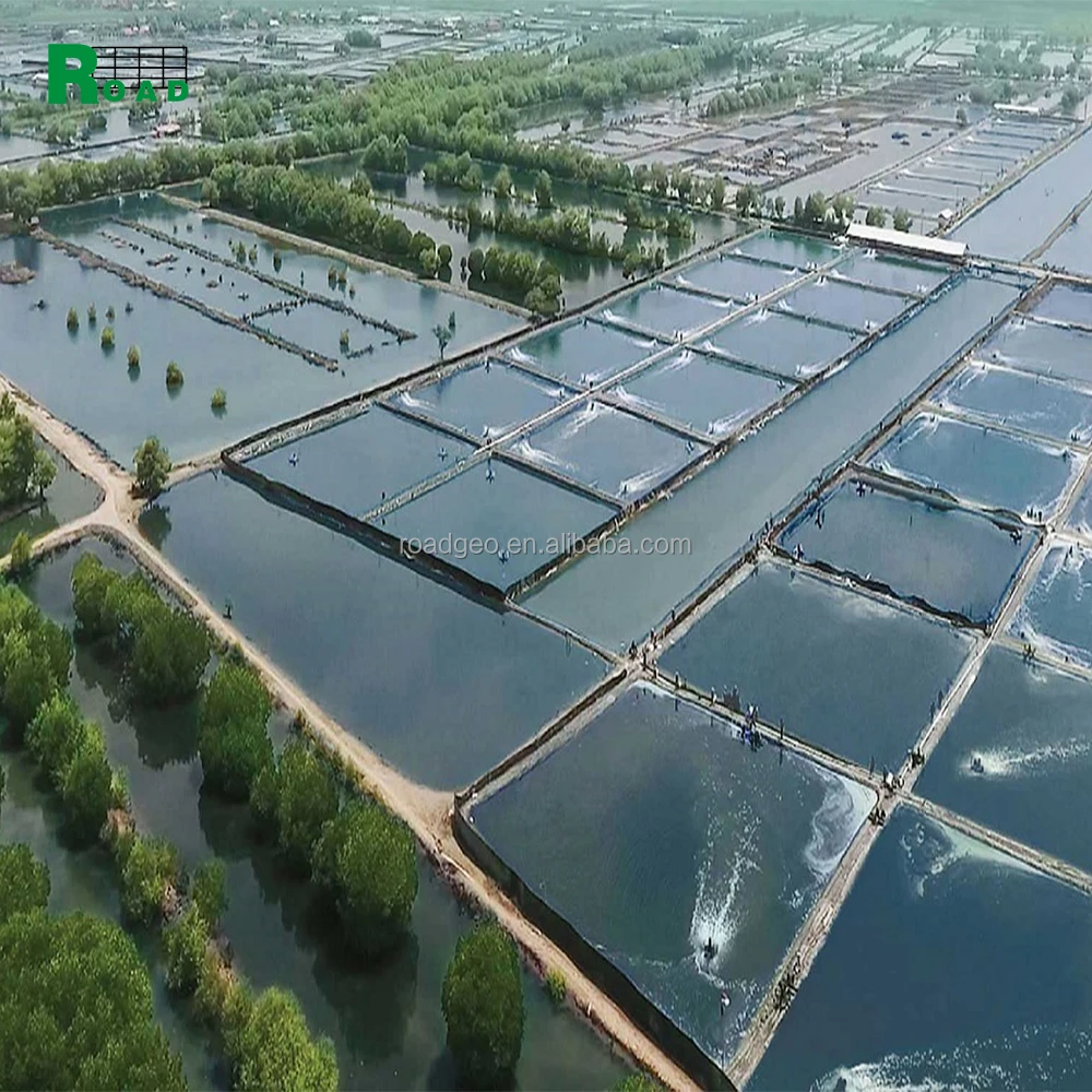 High temperature geomembrane polyethylene sheet swimming pool plastic fish farm tank Pond liner 3 mm thick hdpe
