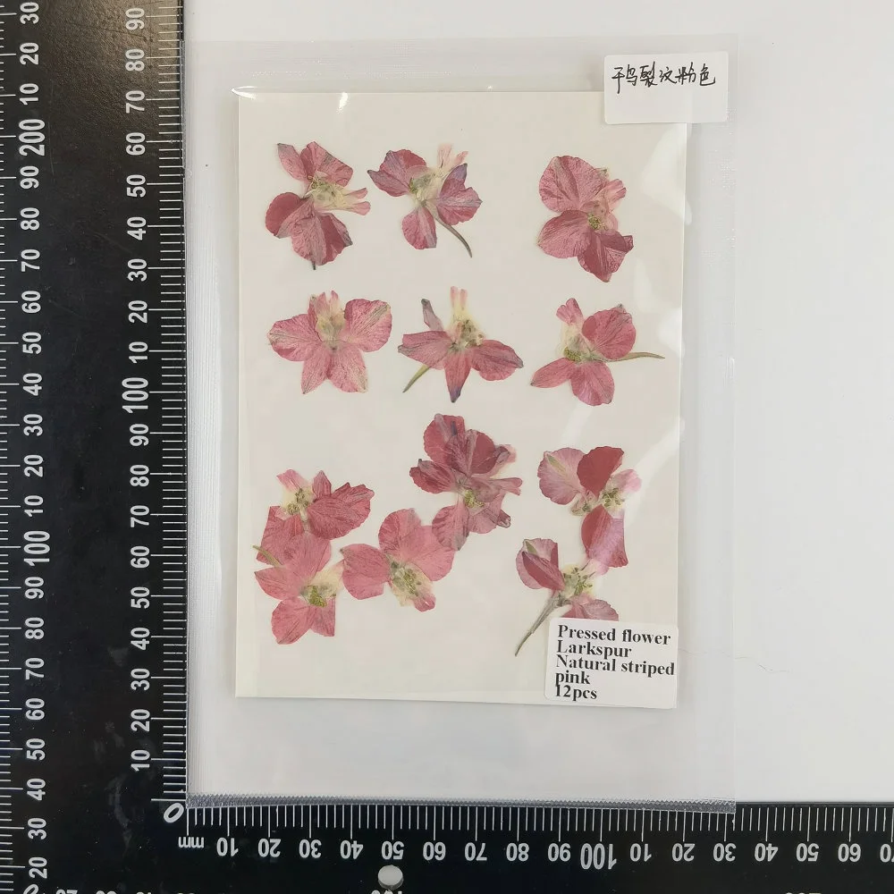 12pcs/bag Larkspur Single Petal DIY Candle Soap Making Natural Plant Eco-friendly Dried Pressed Flower