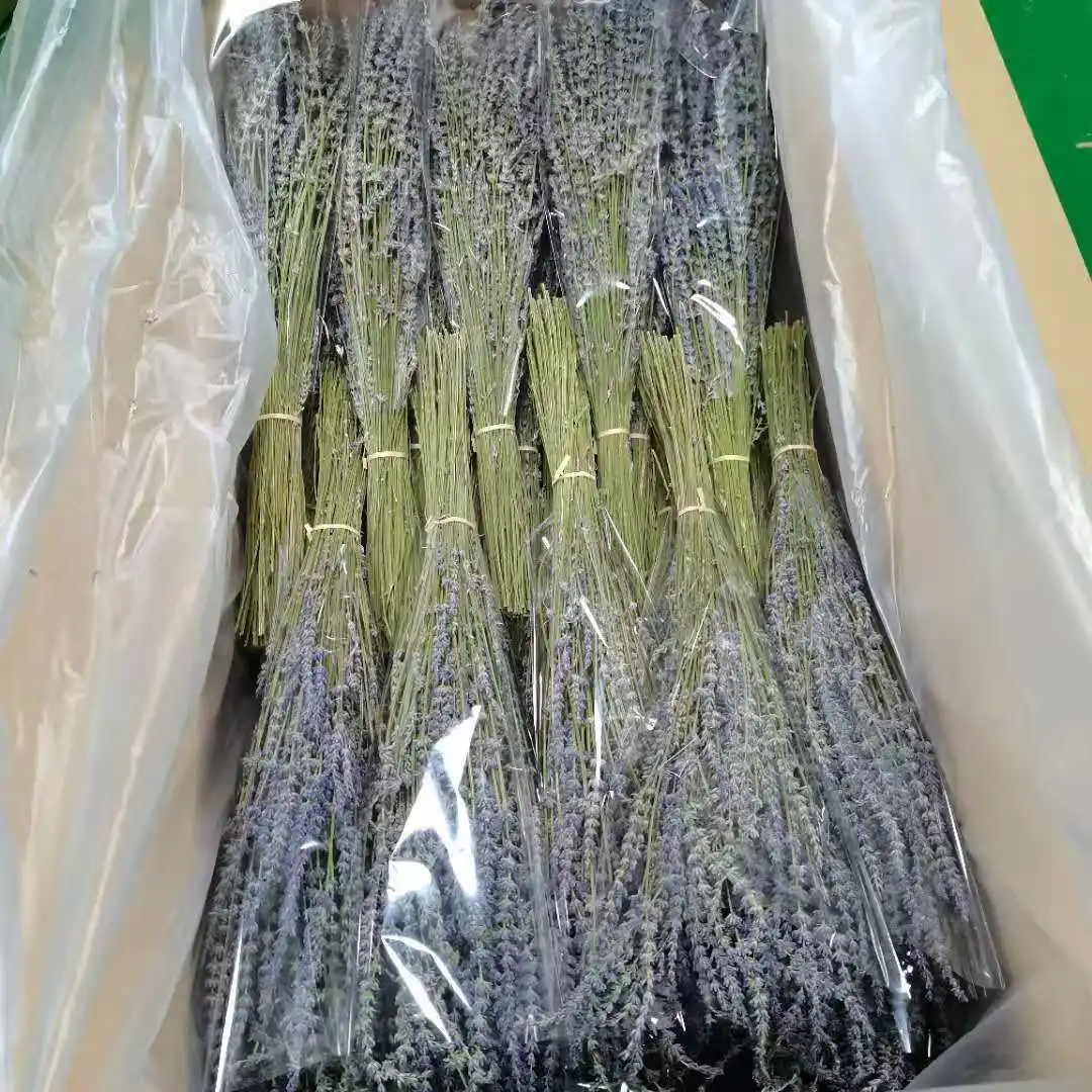 
Lavender bunch dried flowers preserved flowers hot sales popular home indoor decorative wedding gift decorative 