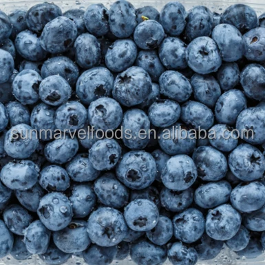 Factory Price Frozen fruits The best Frozen blueberries in Best Sellers from China