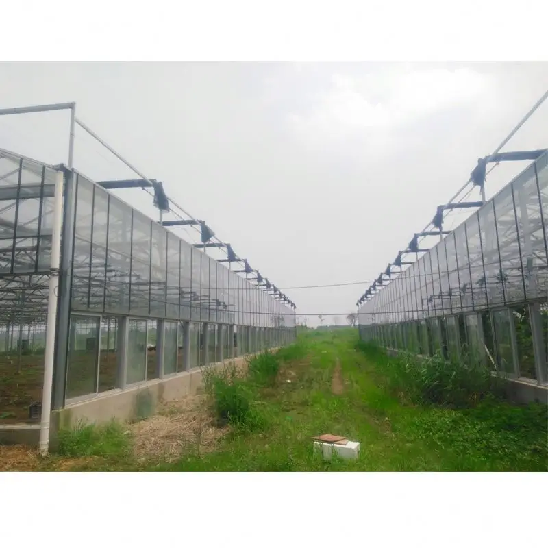
Commercial glass greenhouse wit hydroponics and other equipments 