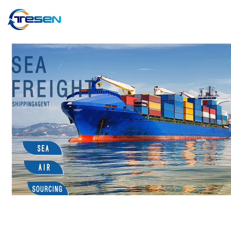 DDP service sea freight forwarder  door to door sea agent from shezhen Dropshipping from China to USA CA AU EU