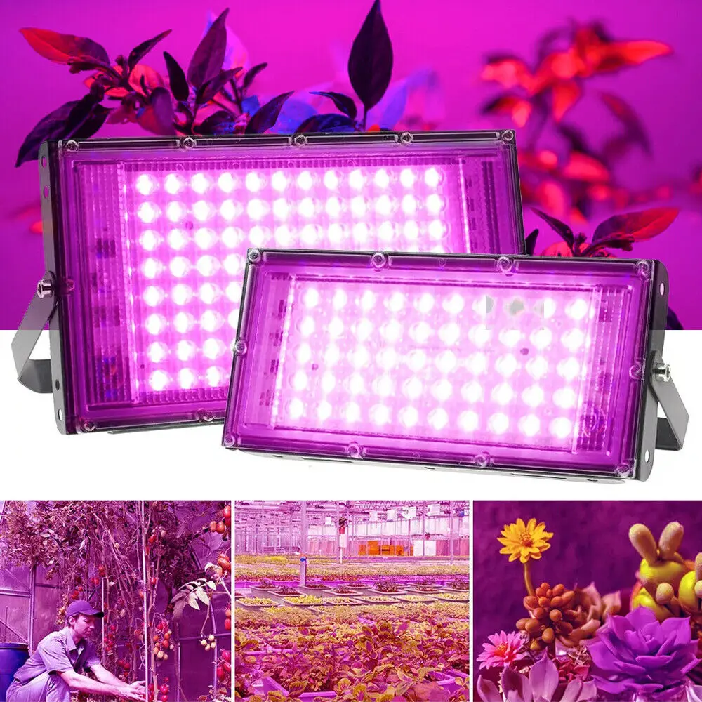 New 50W 100W 150W 200W hanging led plant grow indoor light luces led para plantas aquarium full spectrum LED Growing phytolamp