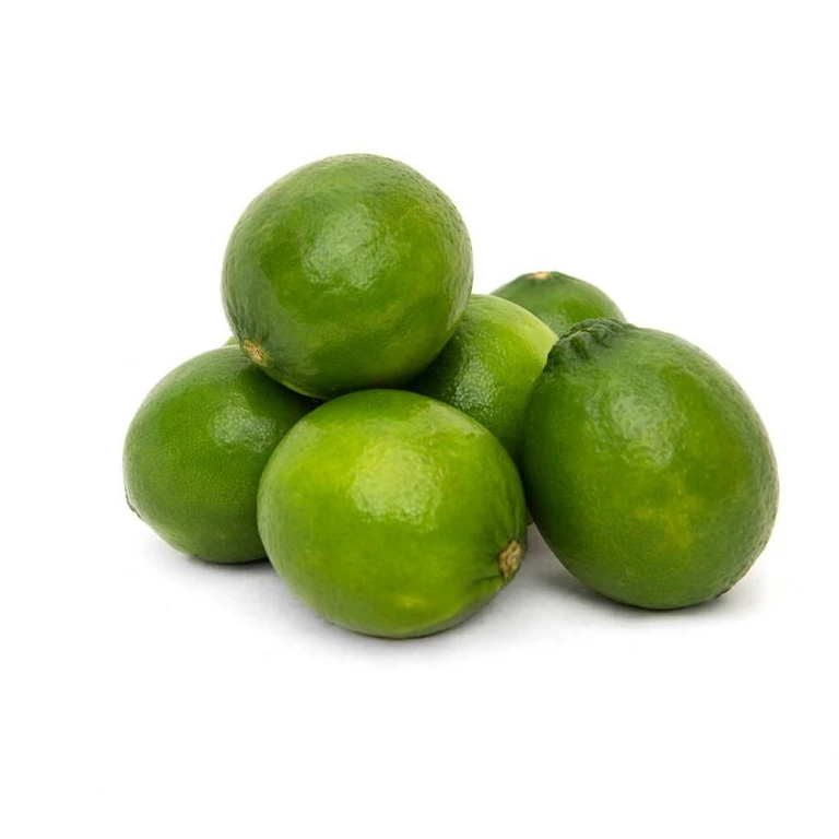 Exporter Tropical Fruit/ Fresh Seedless Lime/ Fresh Lime Fruit From Vietnam with Premium Quality Fresh Citrus Fruit