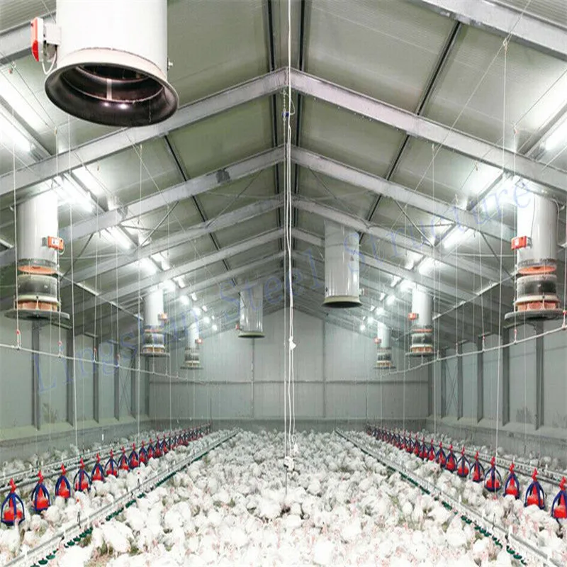 Сборные стальные конструкции бройлеров разведение птицефабрика сарай дома дизайн