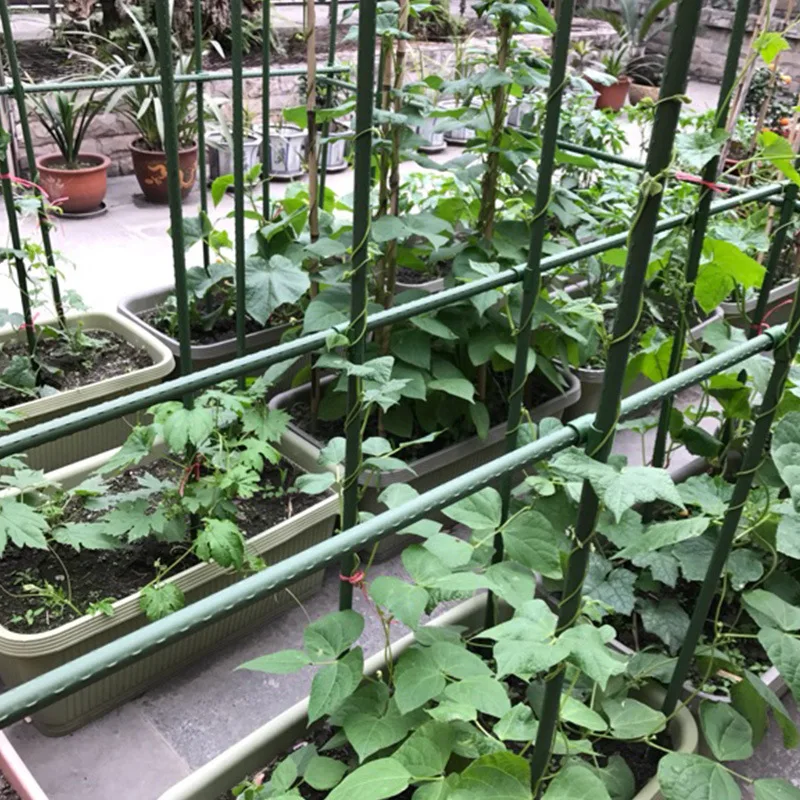 Tomato Cage Planting Rack Plant Stand Strong And Durable Inner Steel Outer Plastic Garden Tomato Planting Cage