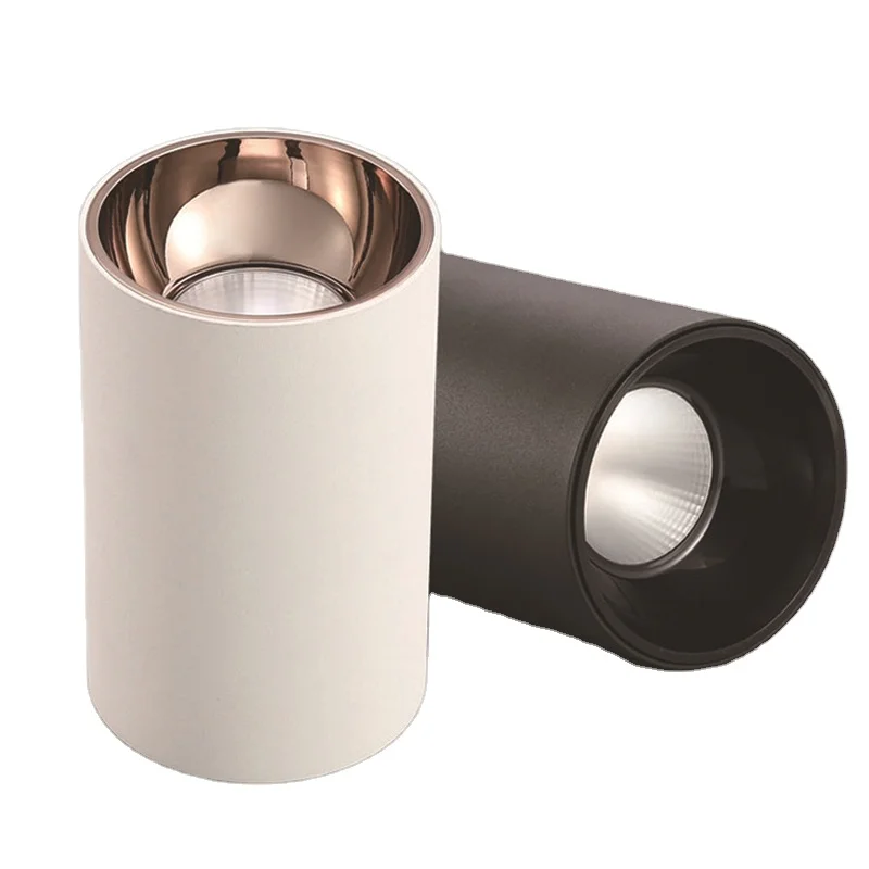 Modern Ceiling Type Aluminum Led Round Down Light Spotlight for Home Firm