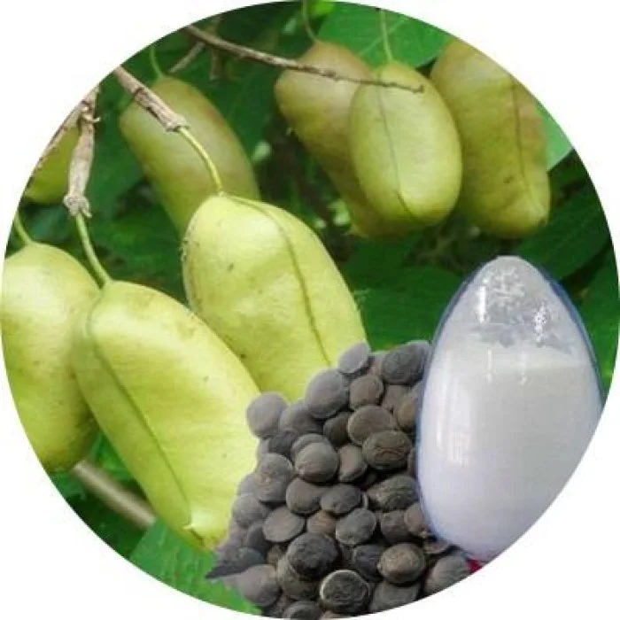 
2020Best Selling Griffonia Seed Extract ,5-Hydroxytryptophan,CAS:4350-09-8 