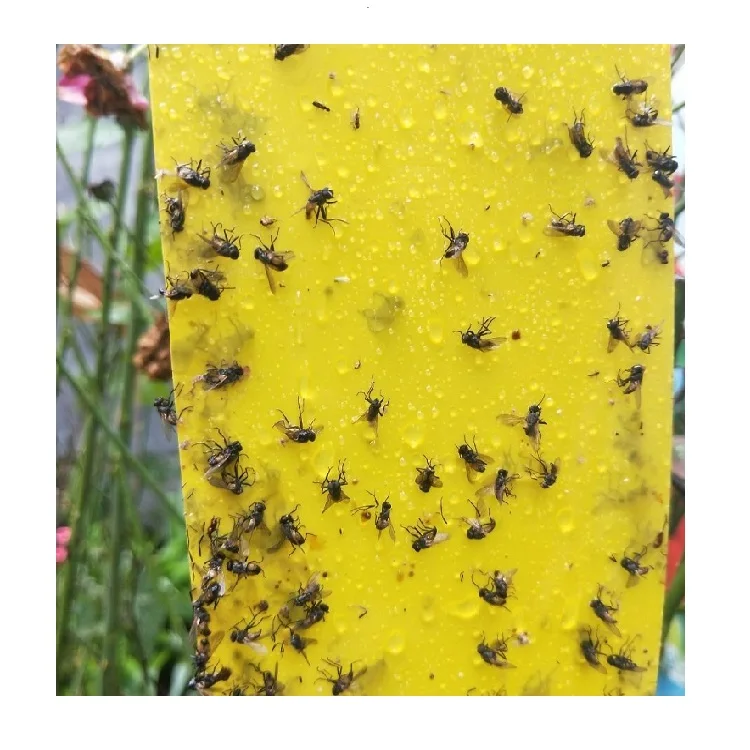 20*10 cm Double-side Organic Gnat Trap  Sticky Insect Glue Monitor Waterproof Flying Insect Stickers for Field Farms