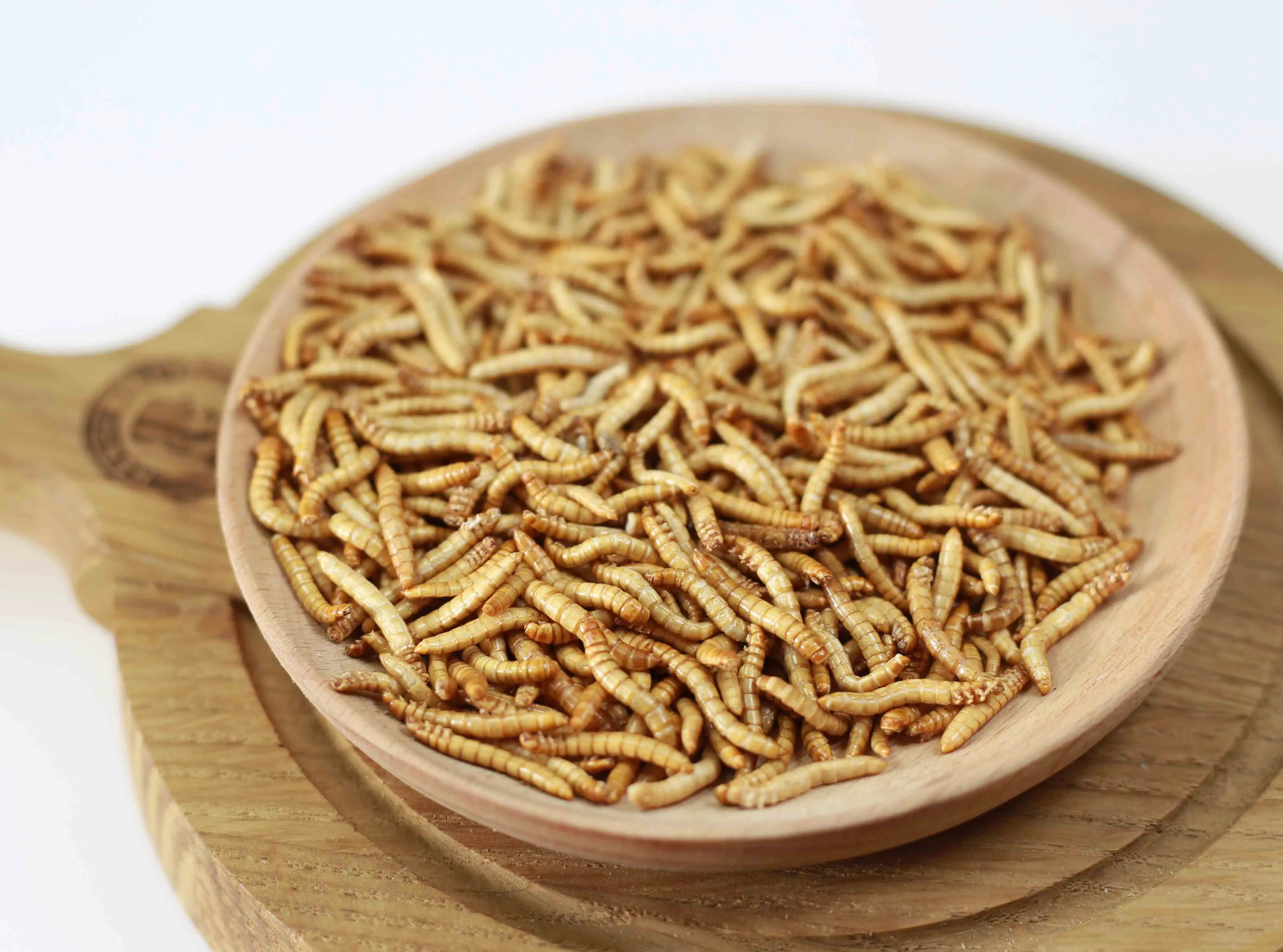 Натуральный МД Mealworm SD mealworm для куриных птиц и других маленьких домашних