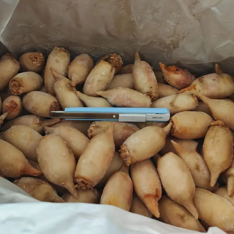 2022 hottest seafood squid snacks with retail packages