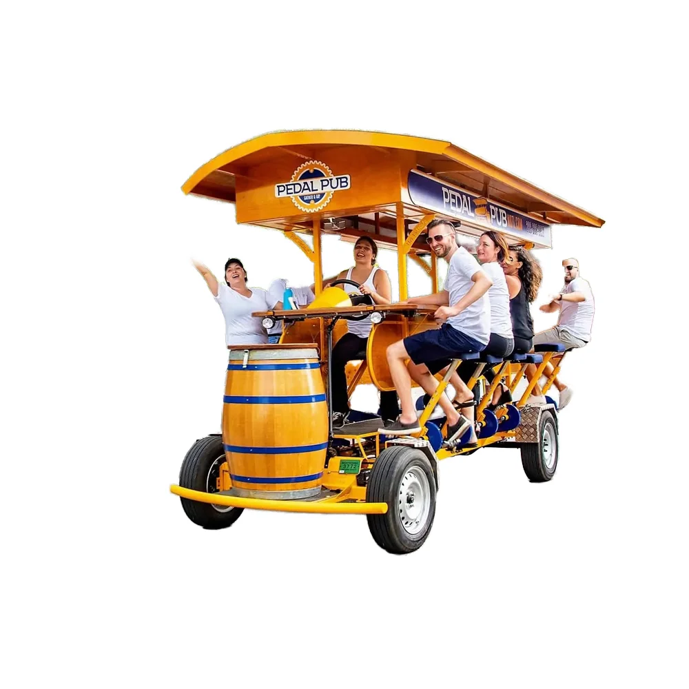 High Quality Single Speed Beer Bike for Sale Waterproof with Steel Fork Disc Brake Ordinary Pedal