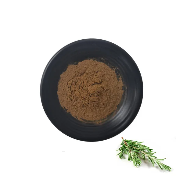 Factory Supply/Rosemary Extract/Carnosic;Rosmarinic;Ursolic/Rosemary Oil/Leaves/Extract Powder