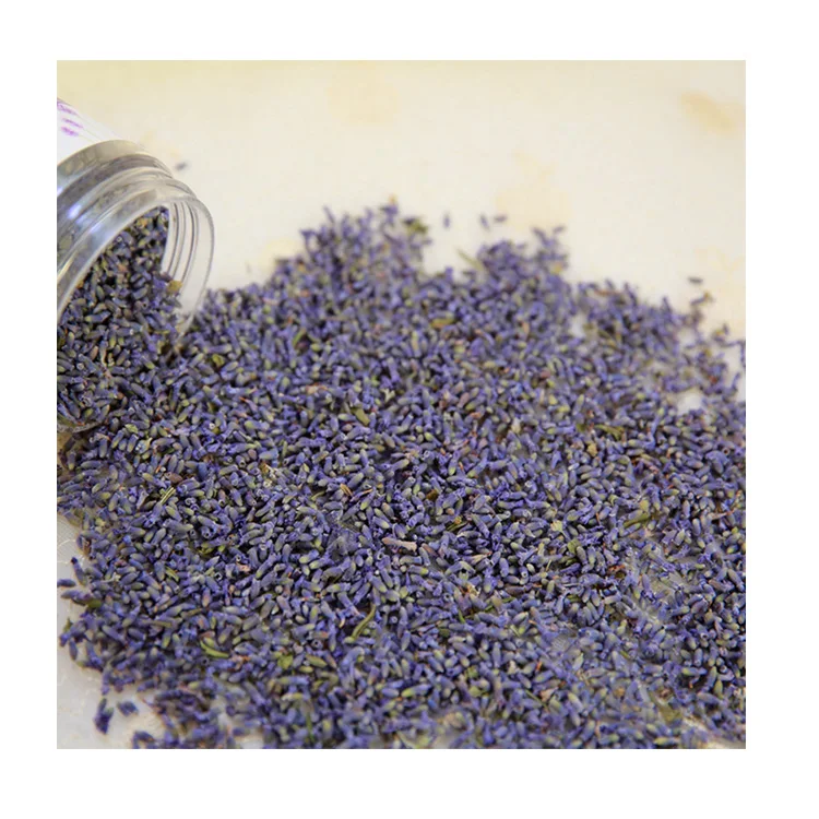 
Wholesale Customized Good Quality Lavender Dried Flower Buds 
