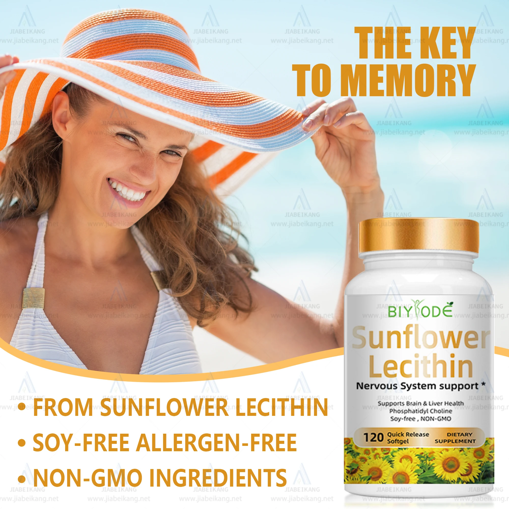 Professional wholesale herbal sunflower lecithin improve focus memory brain supplement nervous energy help softgel capsule