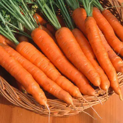
Chinese new crop fresh carrot carrot supplier 