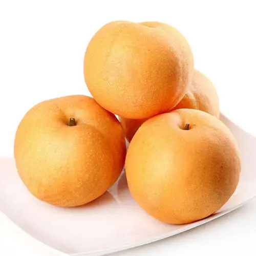 
hot sale fresh brown pear white pear with good quality 