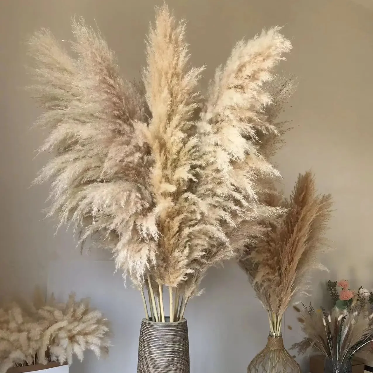 Wholesale Pampas Country beige Natural Dried Pampas Grass For wedding home hotel