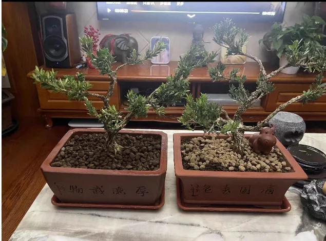 Creative New Traditional Ceramic Bonsai Pot, Chinese Yixing Bonsai Pot, Keramik flower pots planters, bonsai pots wholesalers