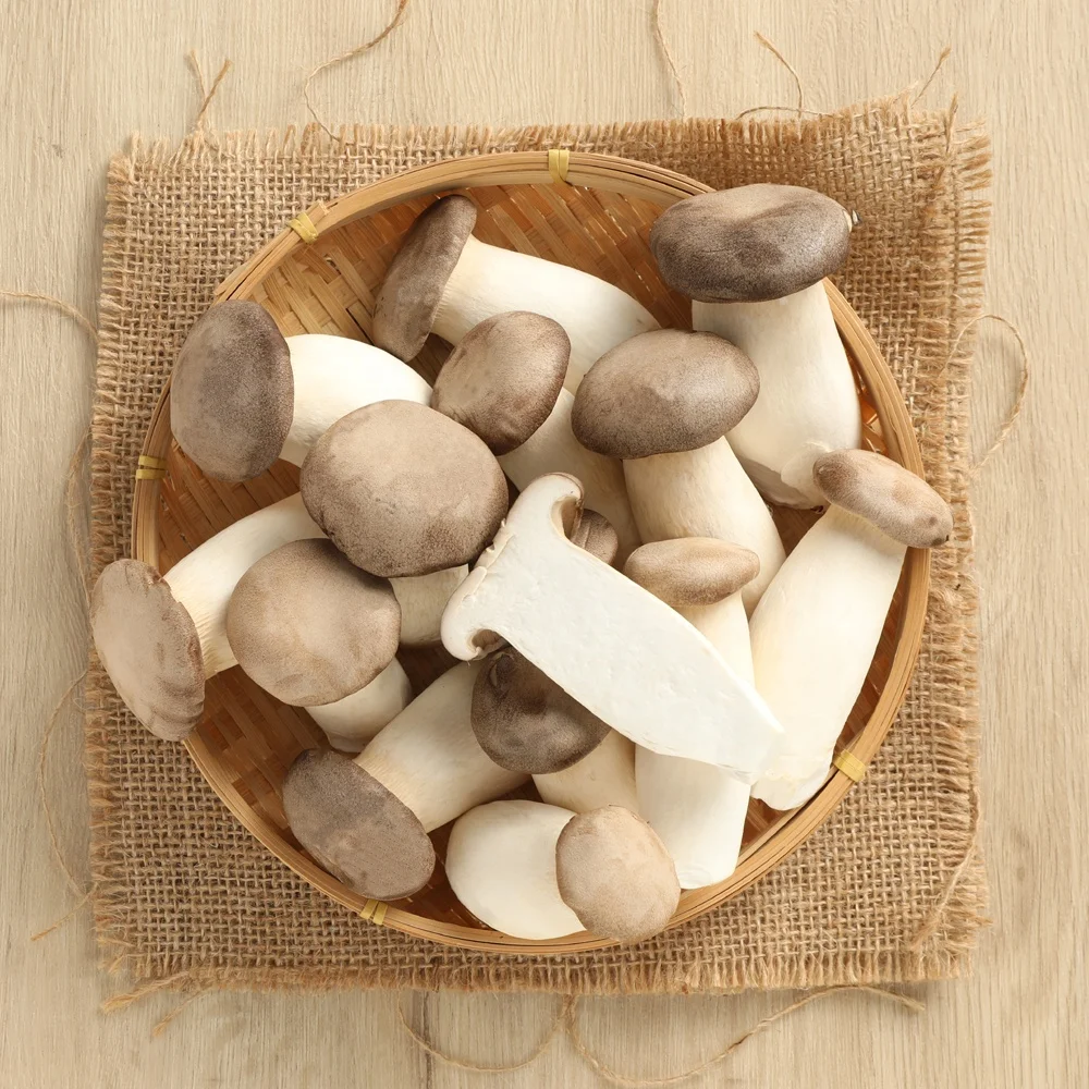 Bottle Growing M size 110g King Oyster Mushrooms