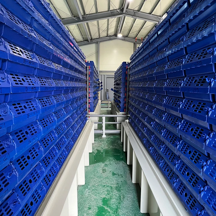 Wholesale price mud crab culture farming house boxes Factory wholesale crab farming boxes system equipment crab in box