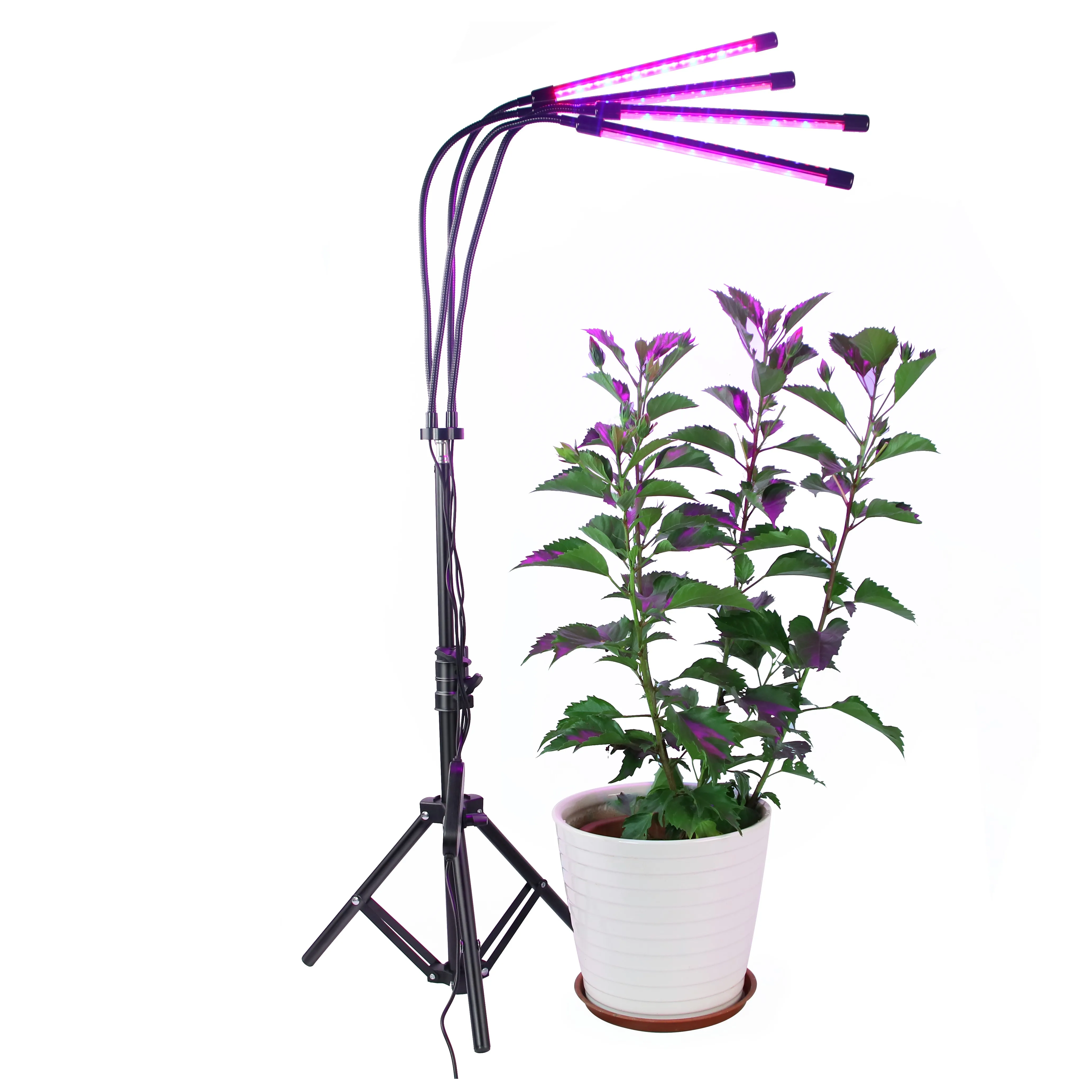 Shenzhen LED Grow Light Various Series Popular Plant Grow Led Light Indoor Grow Light Lamp