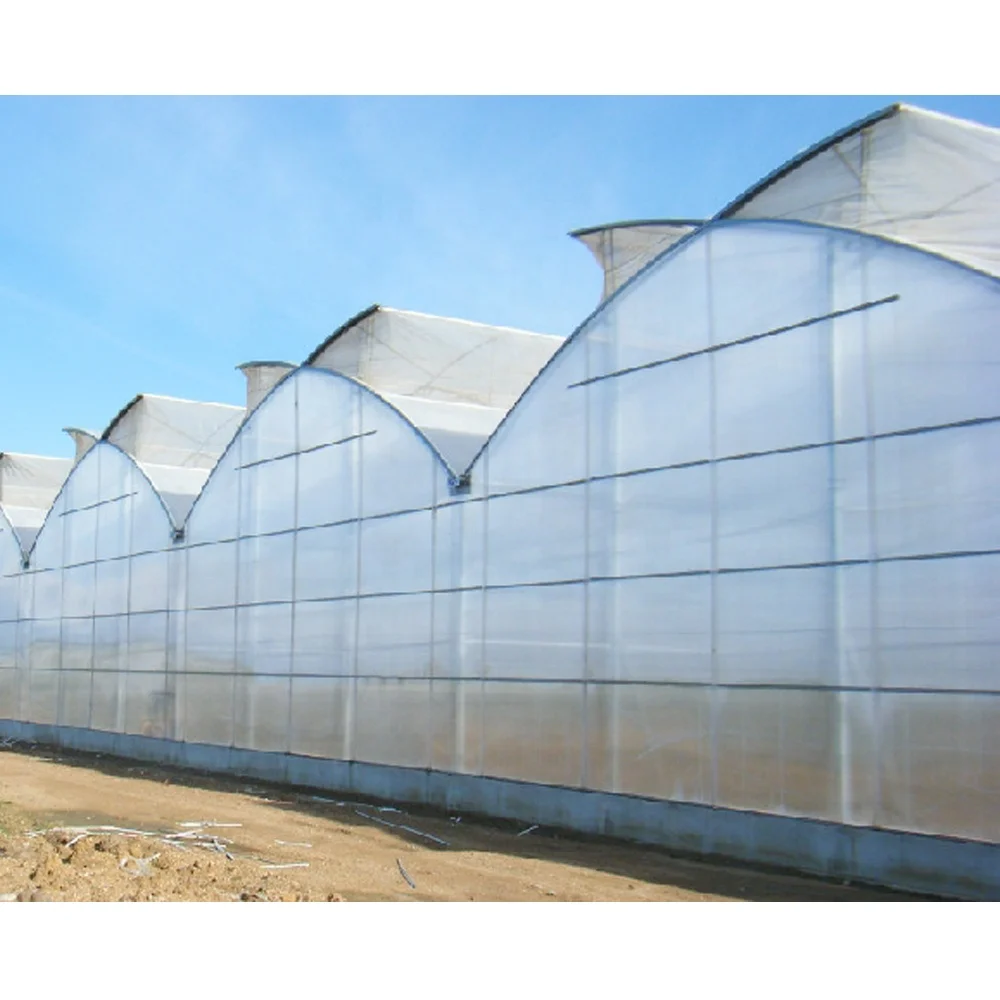 Commerical plastic multi spans greenhouse roof window ventilation other greenhouses