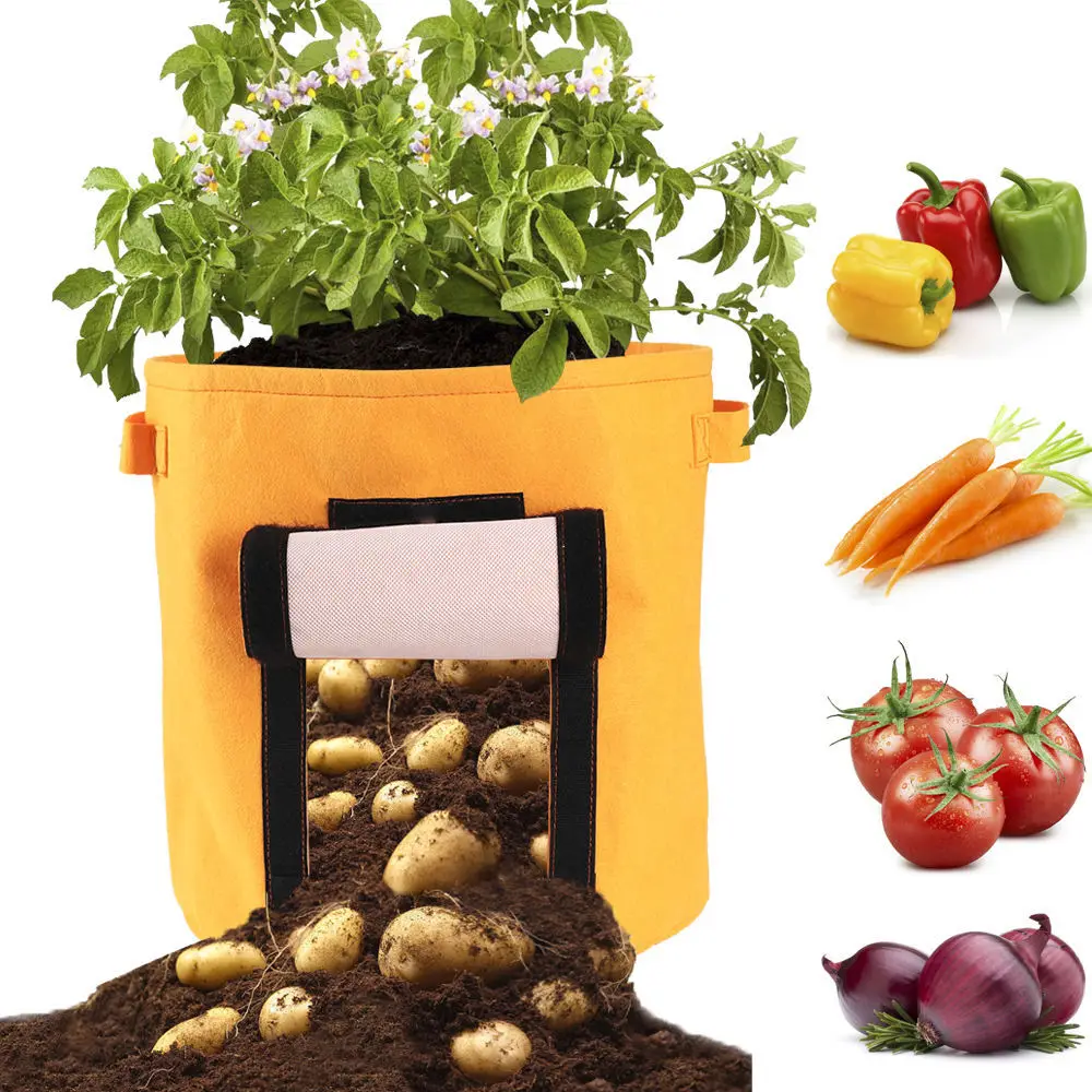 
2020 new design customized 5 gallon 7 gallon 10 gallon vegetable strawberry plant grow bags for home 