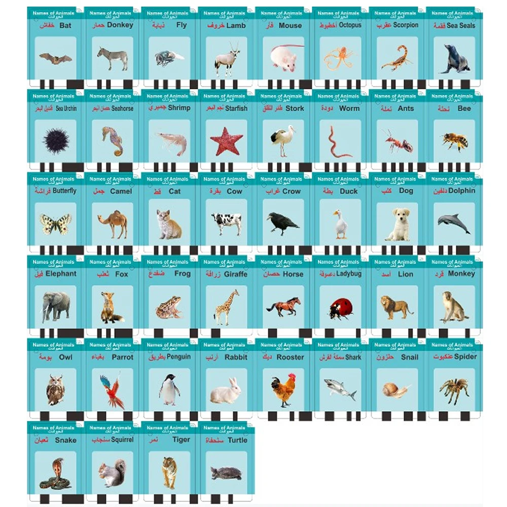 Arabic learning for kids talking arabic flash cards educational learning machine flash card reader arabic