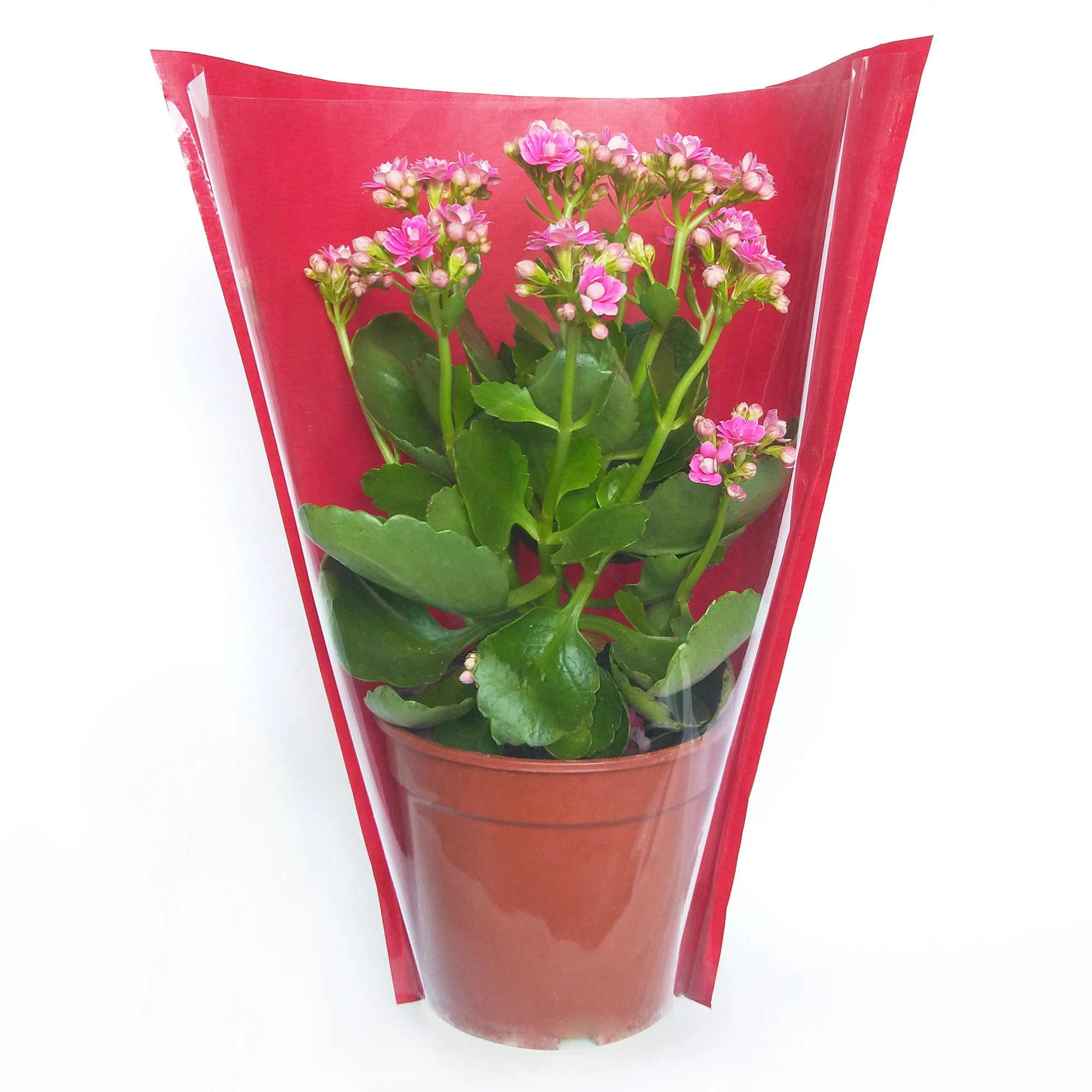 Bopp + Kraft Paper Sleeve Y Shape Sleeve Fresh Flower Herb Plant Produce Wrapping Sleeve