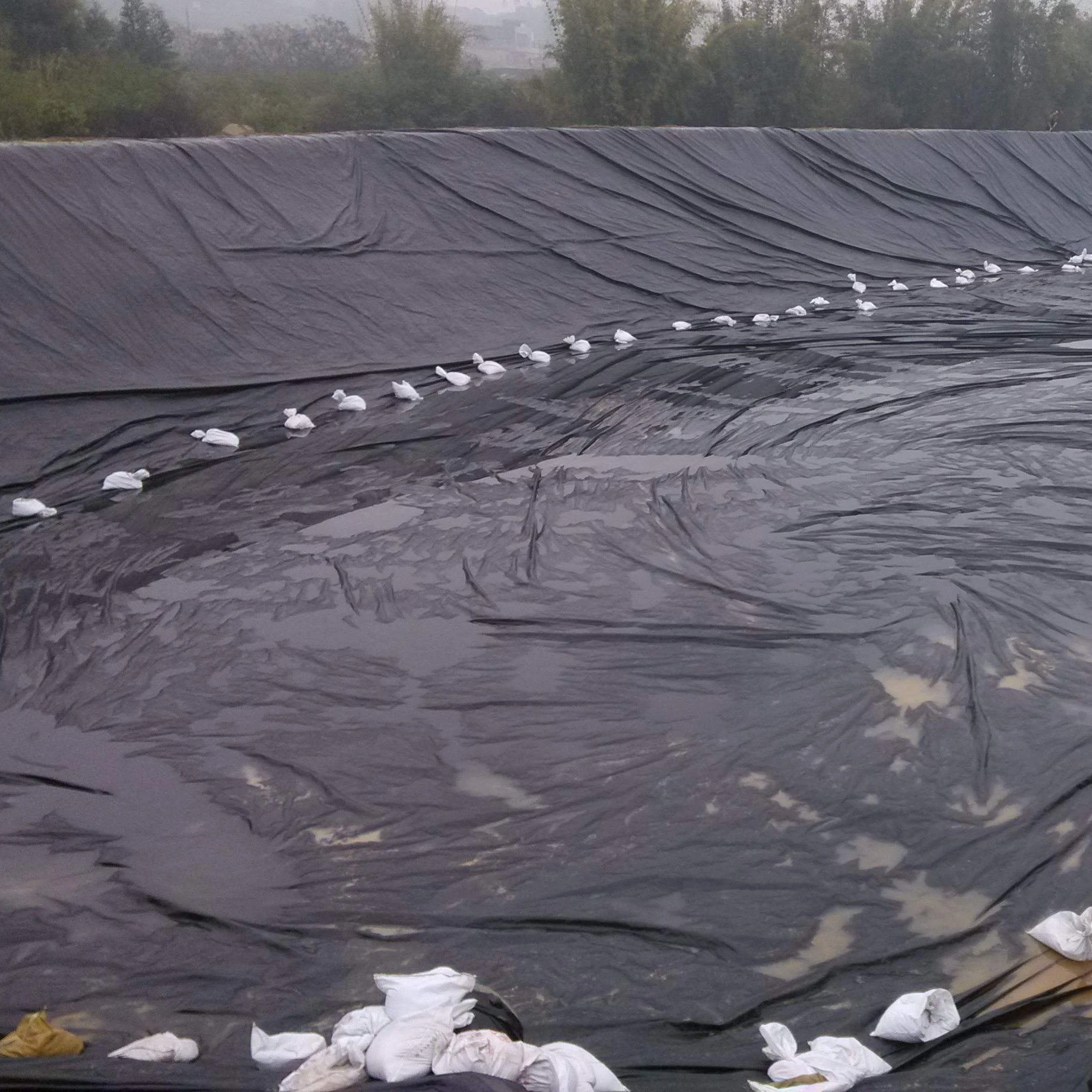 Black Pond Liner for Oxidation Pond in China 1.5 mm Geomembrane
