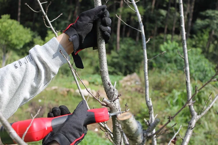 25mm cutting mouth cordless pruning shear high quality hot sale household garden tool